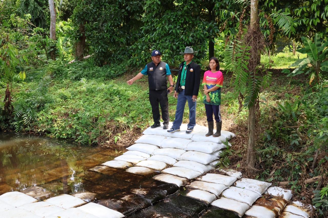 ภาพประกอบที่ 31