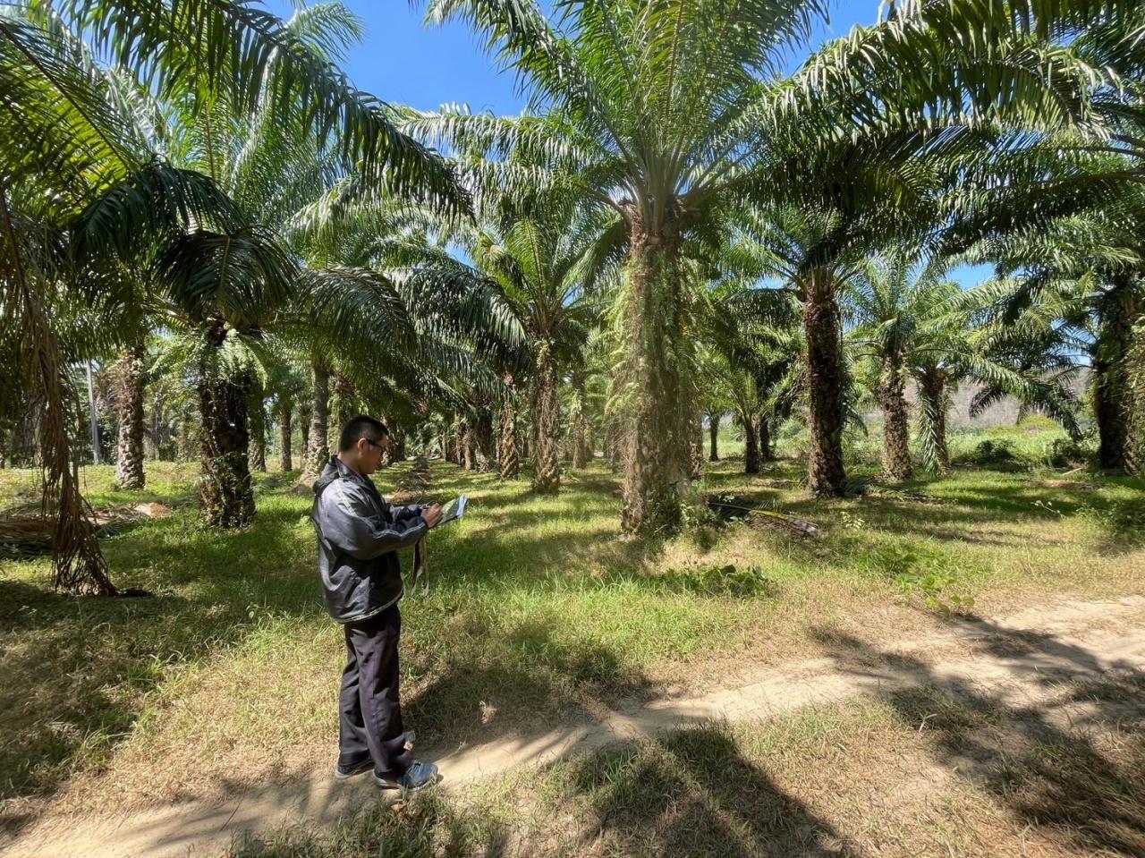 ภาพประกอบที่ 0