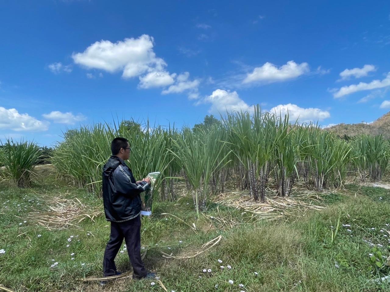 ภาพประกอบที่ 1