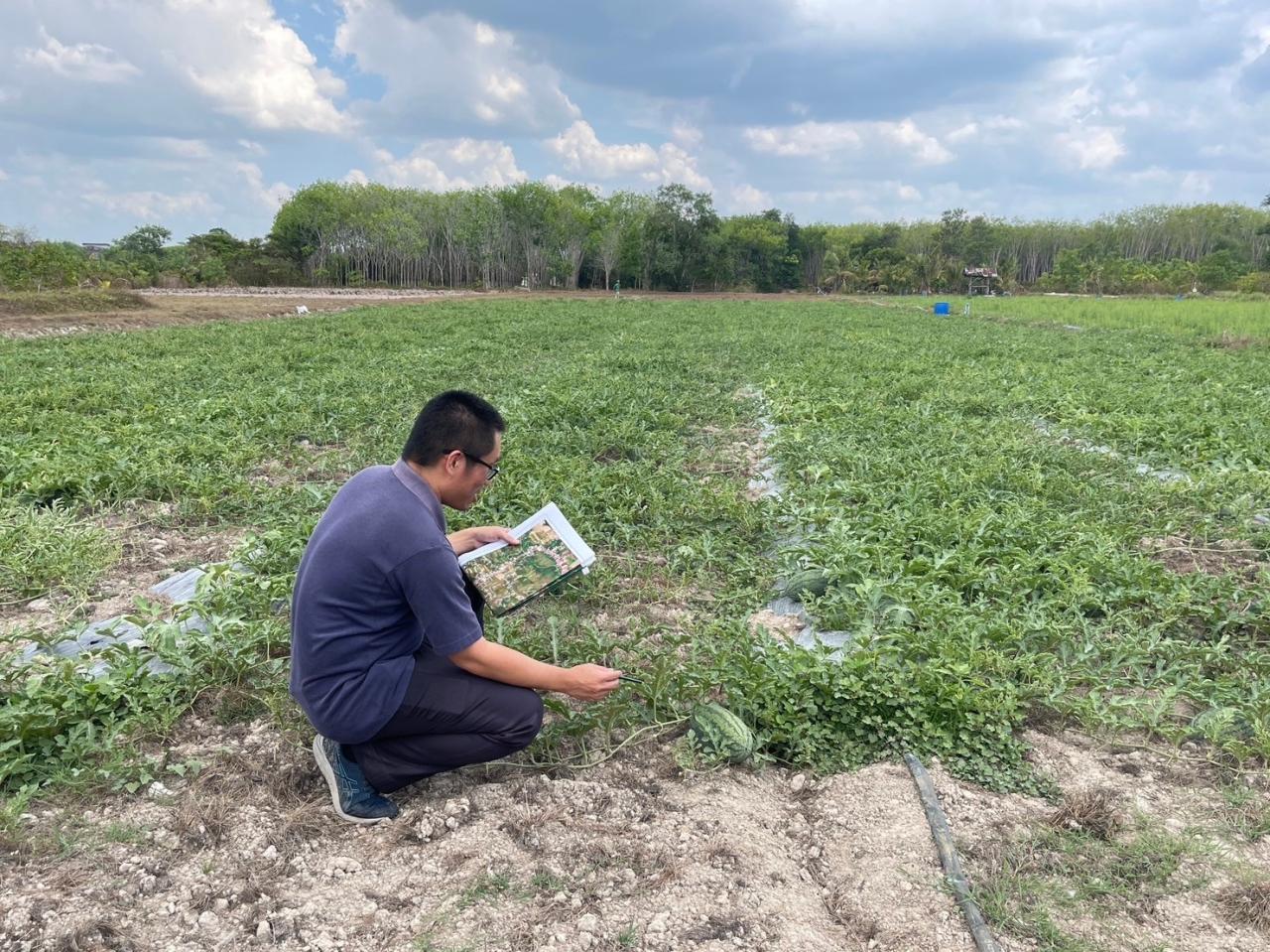 ภาพประกอบที่ 3