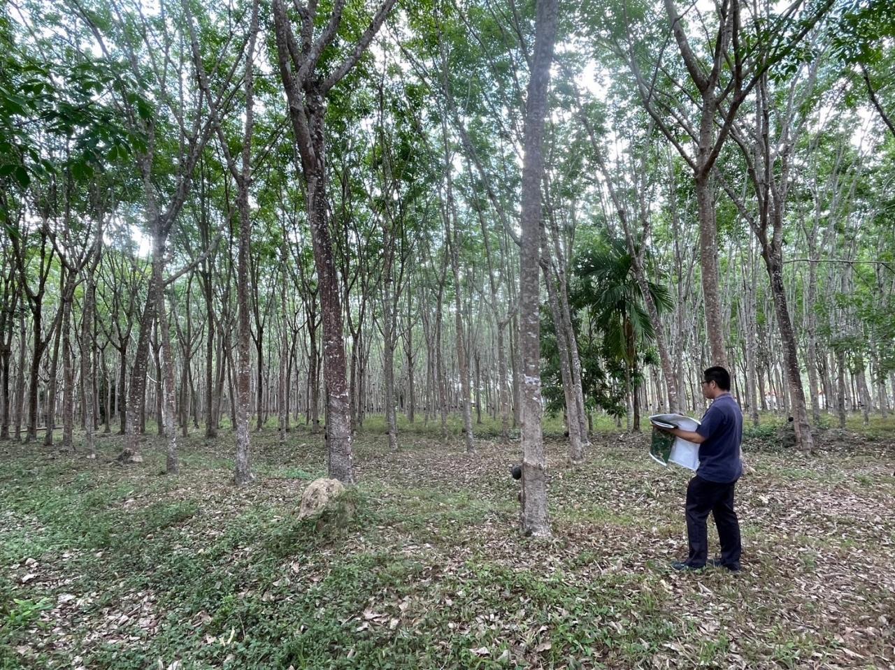 ภาพประกอบที่ 4