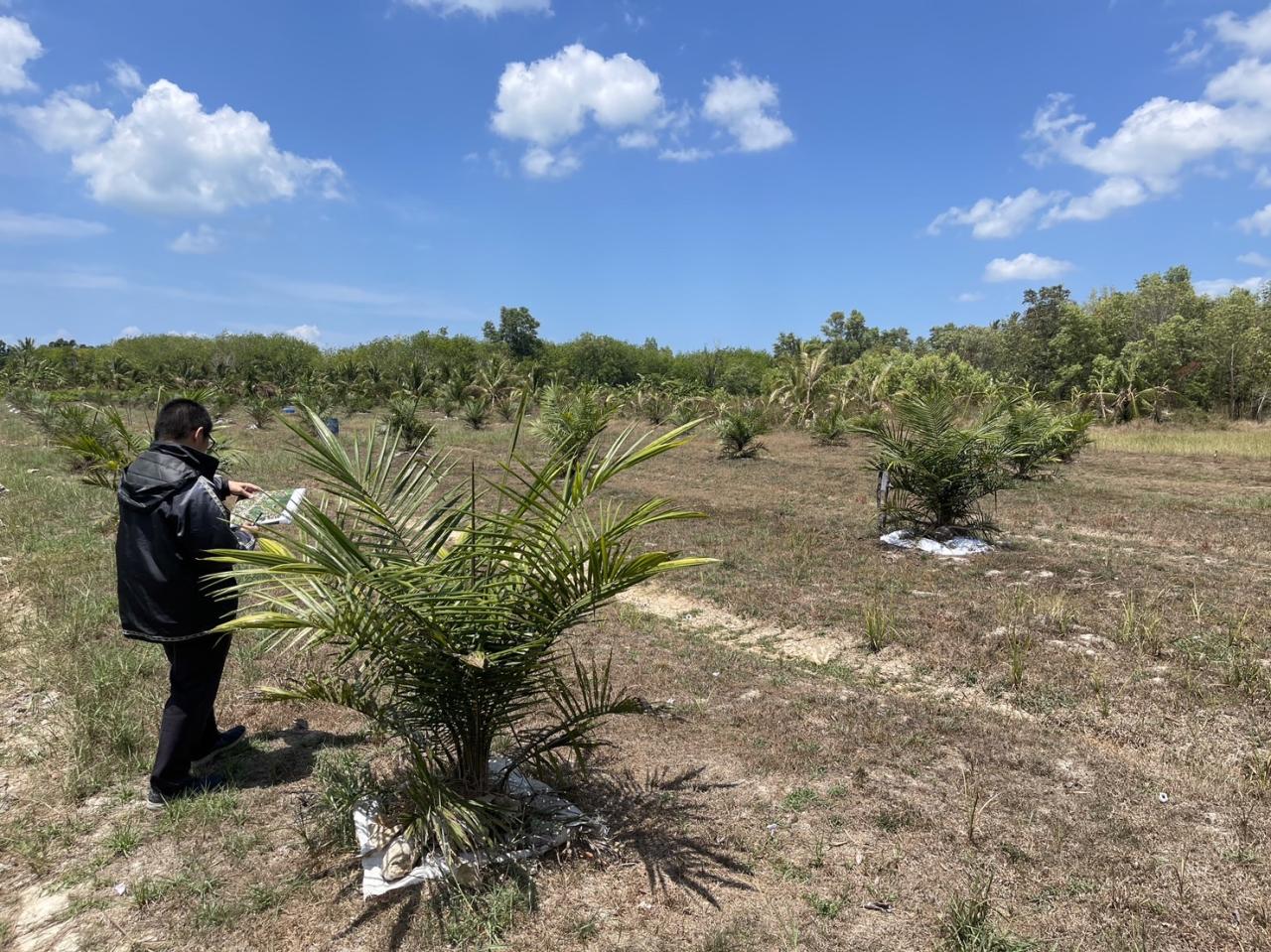 ภาพประกอบที่ 5
