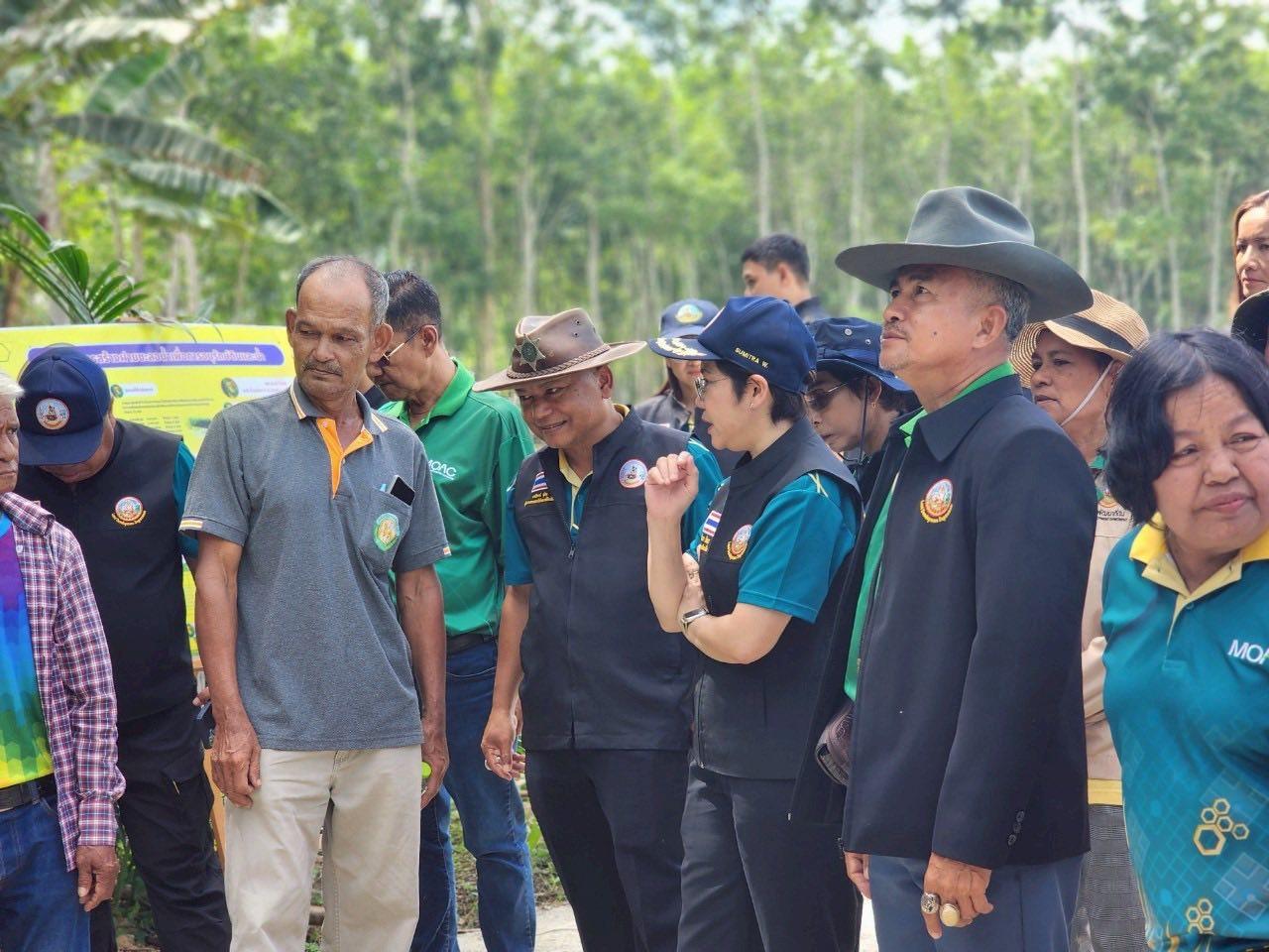 ภาพประกอบที่ 4