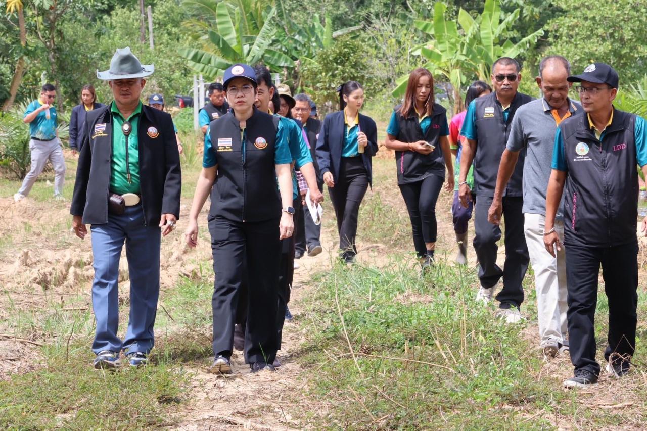 ภาพประกอบที่ 7