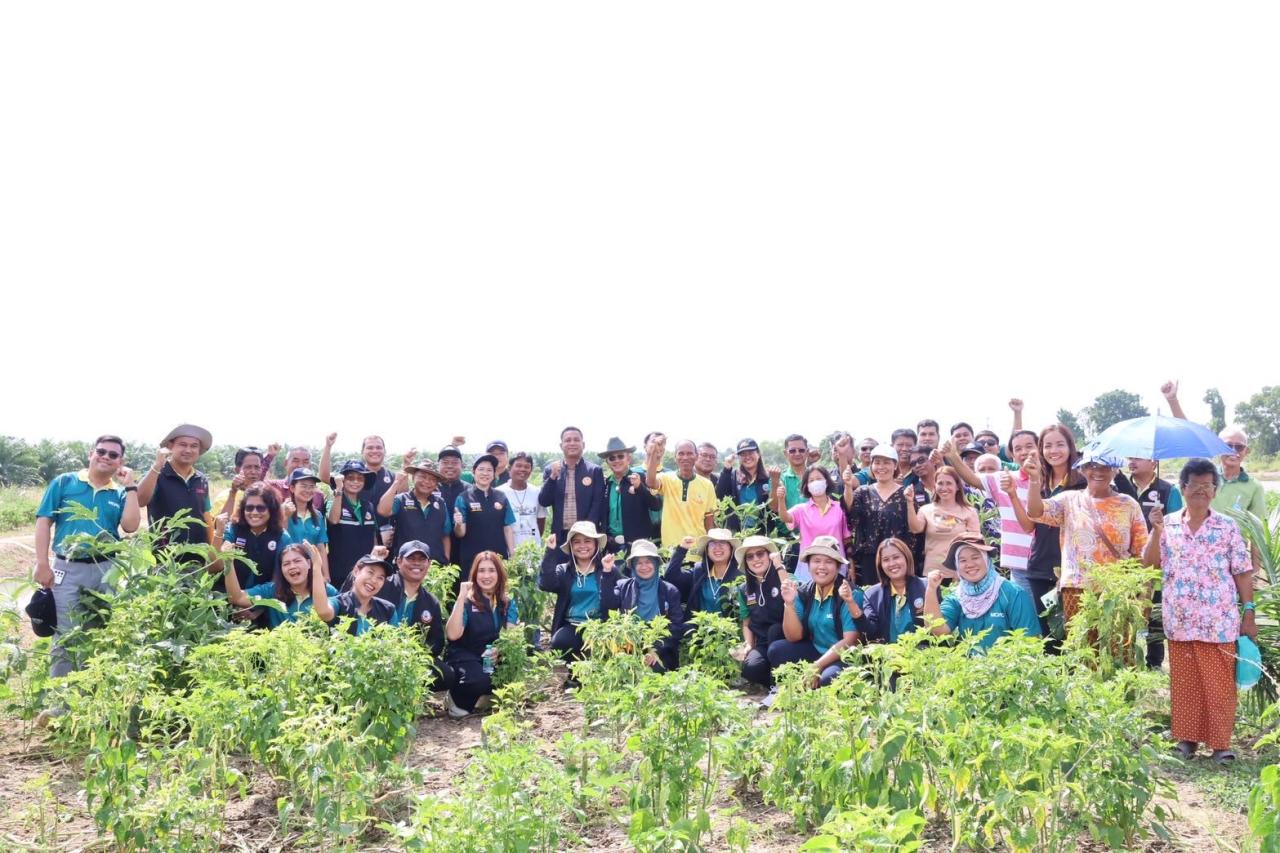 ภาพประกอบที่ 8