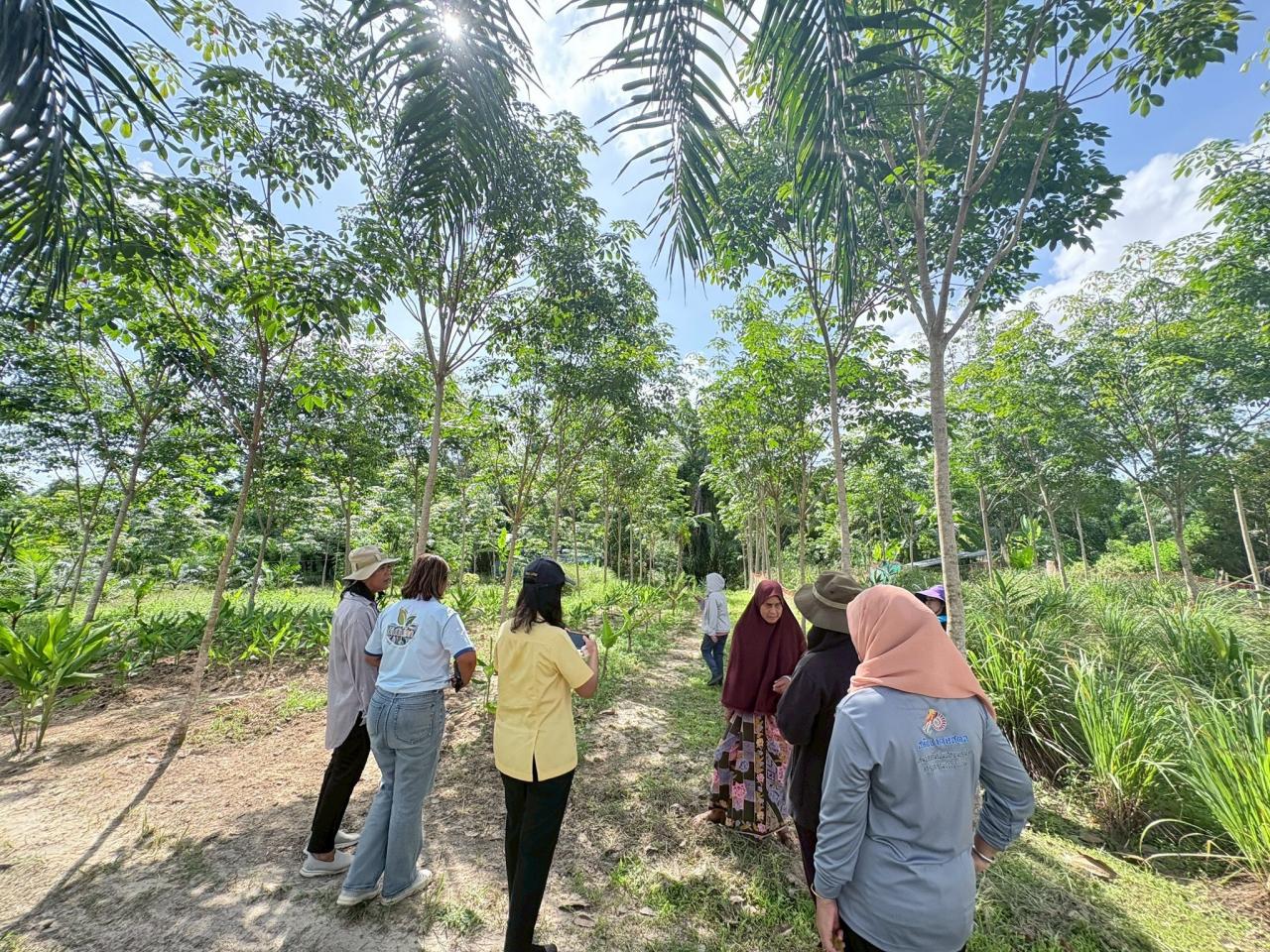 ภาพประกอบที่ 3