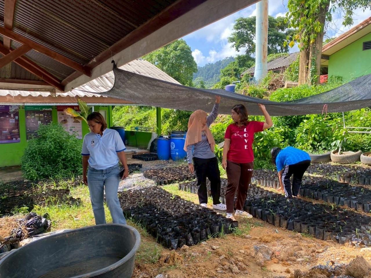 ภาพประกอบที่ 6