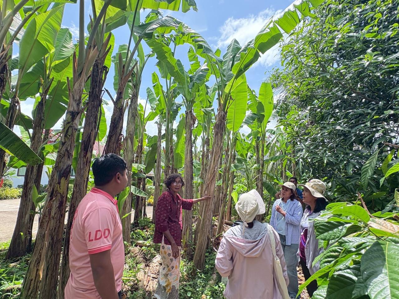 ภาพประกอบที่ 9