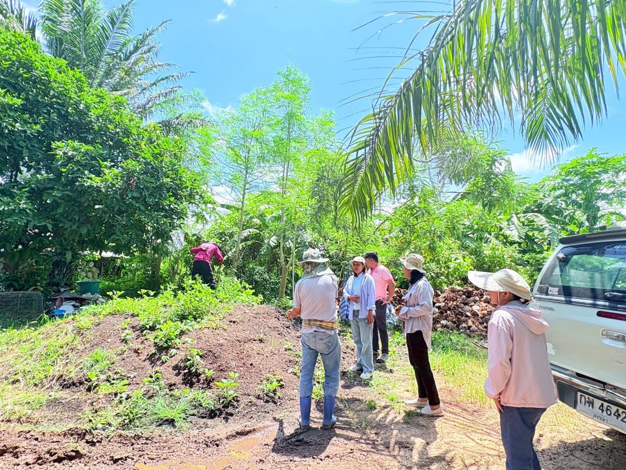 ภาพประกอบที่ 10