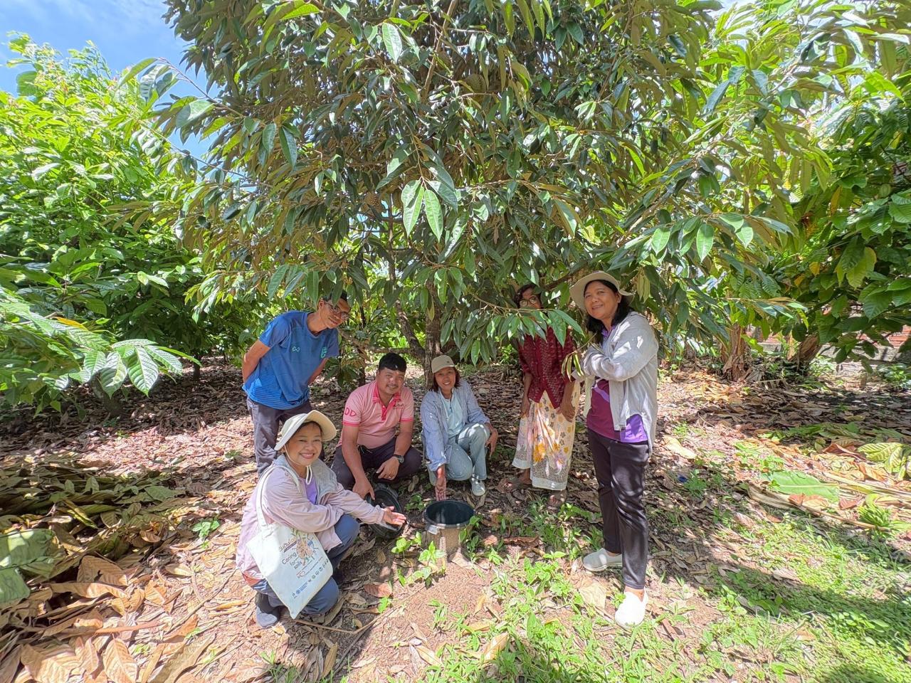 ภาพประกอบที่ 11