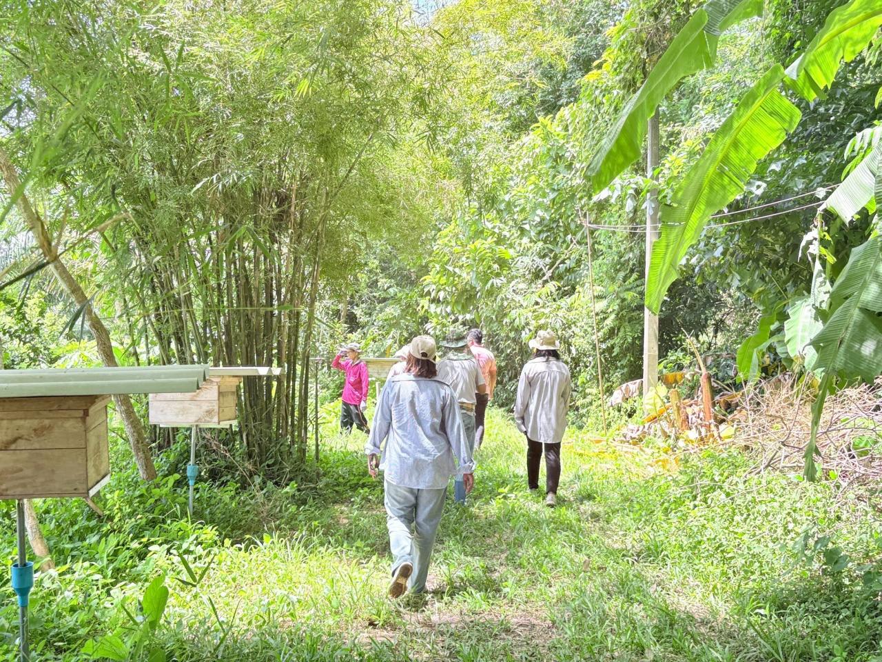 ภาพประกอบที่ 15