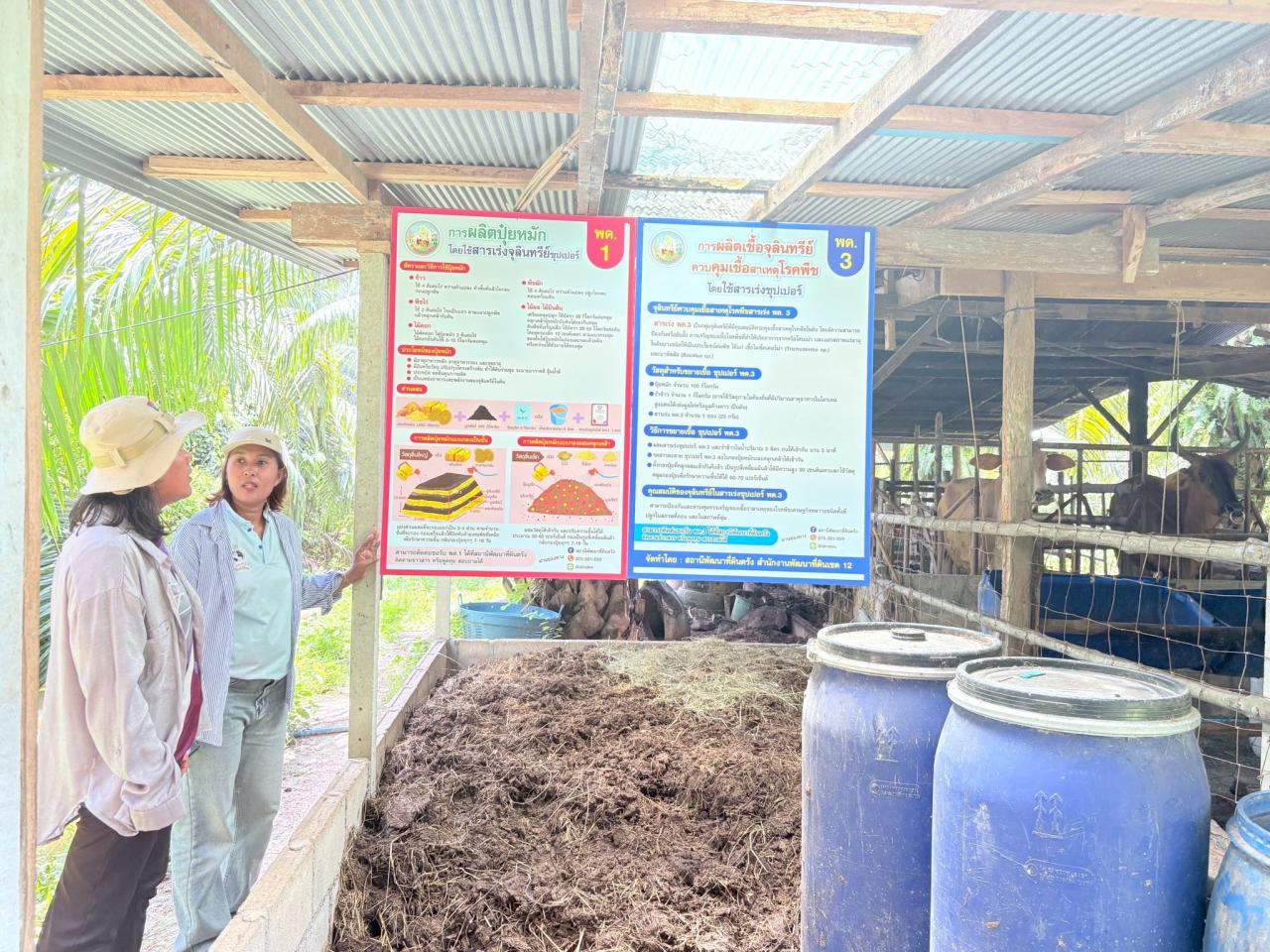 ภาพประกอบที่ 17