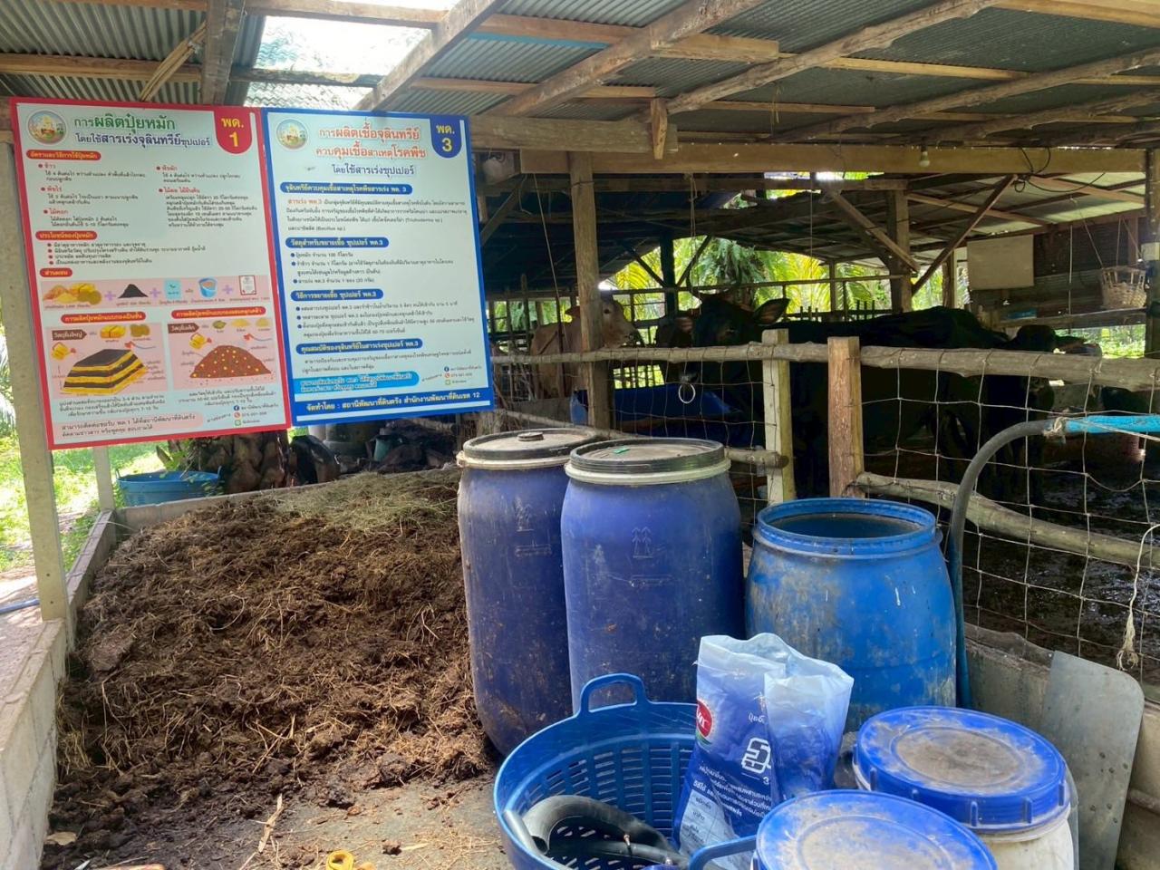 ภาพประกอบที่ 18