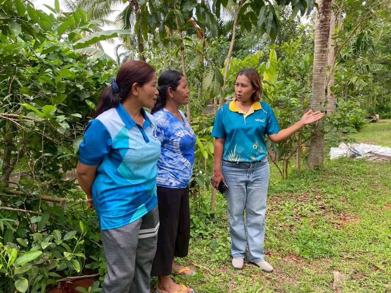 ภาพประกอบที่ 23