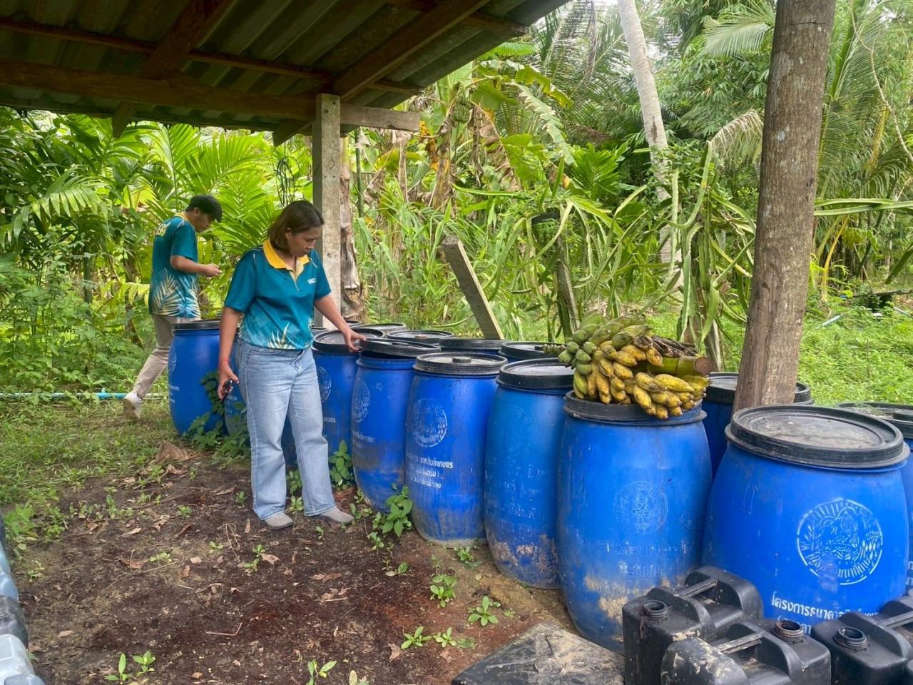 ภาพประกอบที่ 24