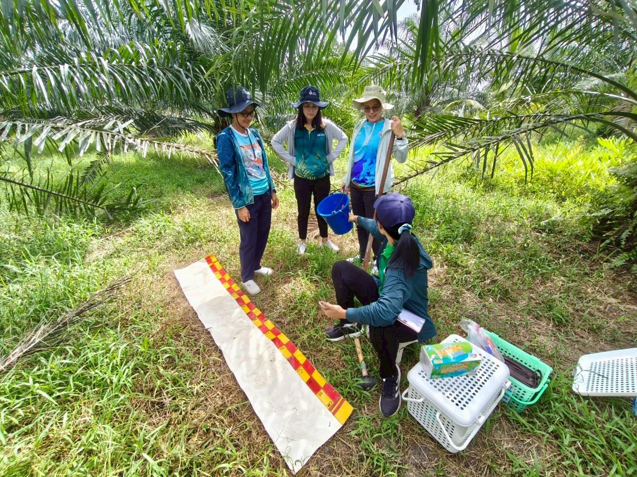 ภาพประกอบที่ 1