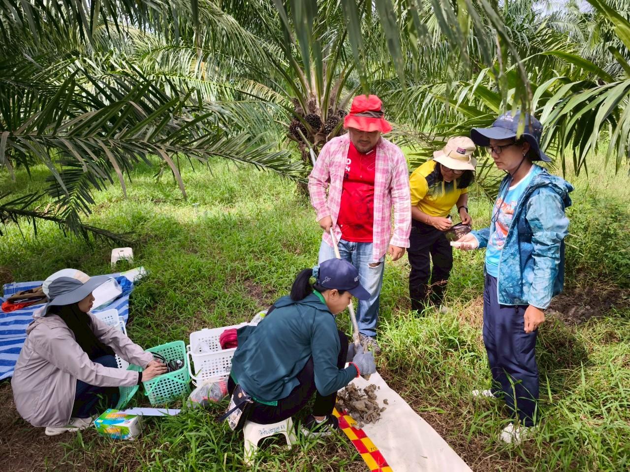 ภาพประกอบที่ 2