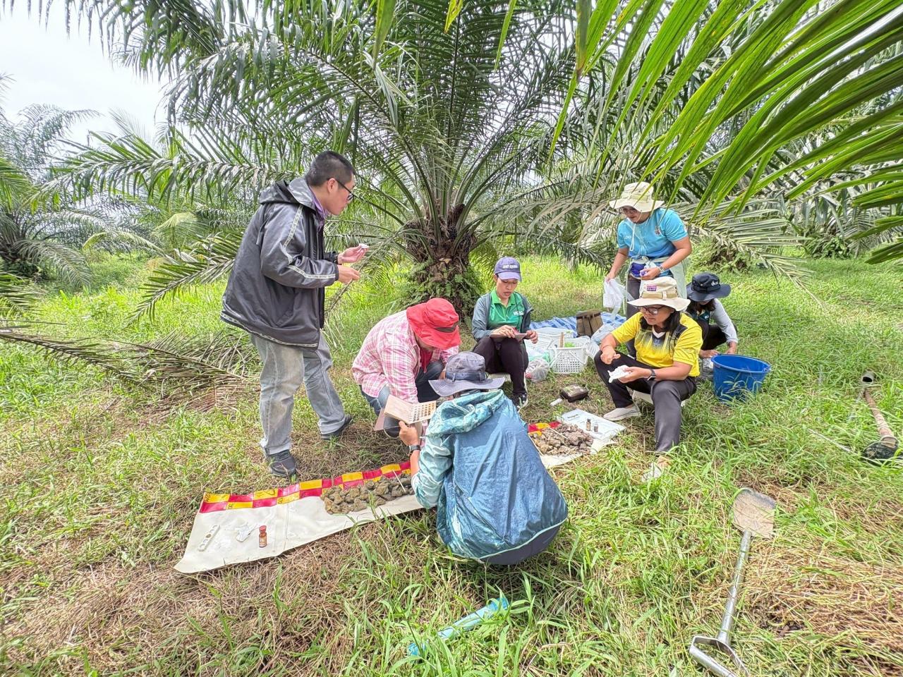 ภาพประกอบที่ 3