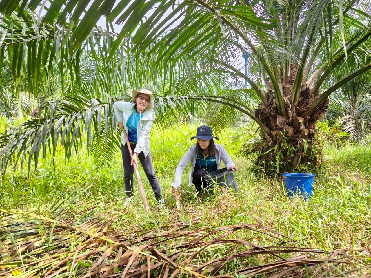 ภาพประกอบที่ 4