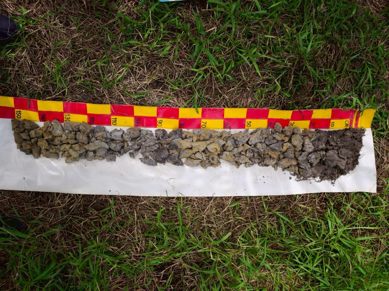 ภาพประกอบที่ 6