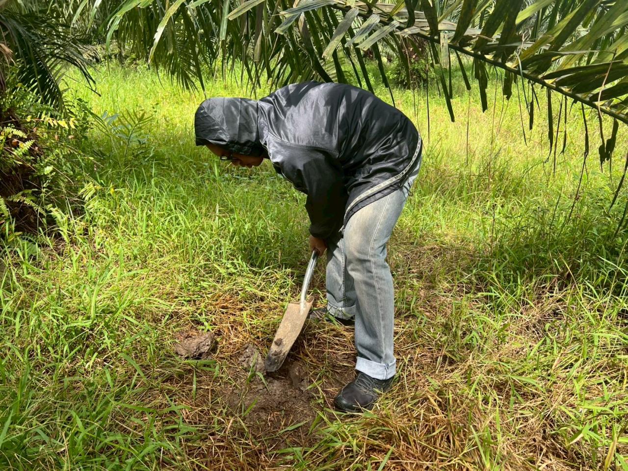 ภาพประกอบที่ 7