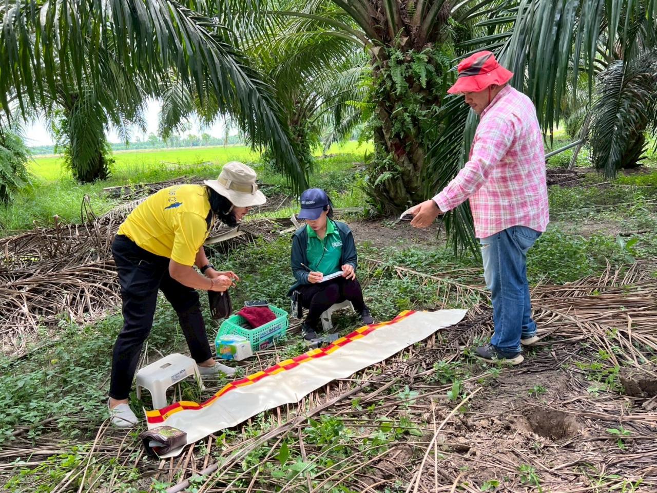 ภาพประกอบที่ 9