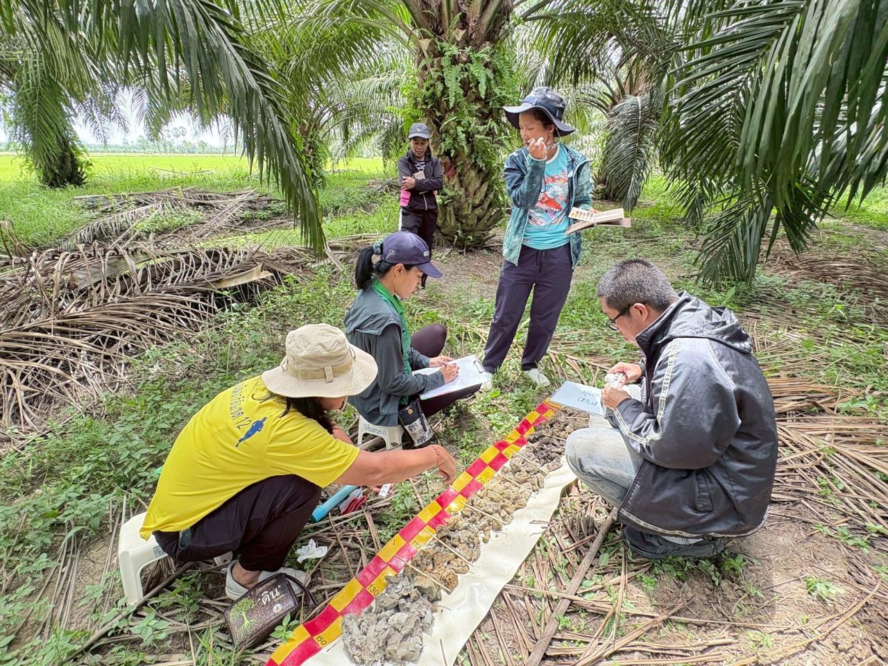 ภาพประกอบที่ 11