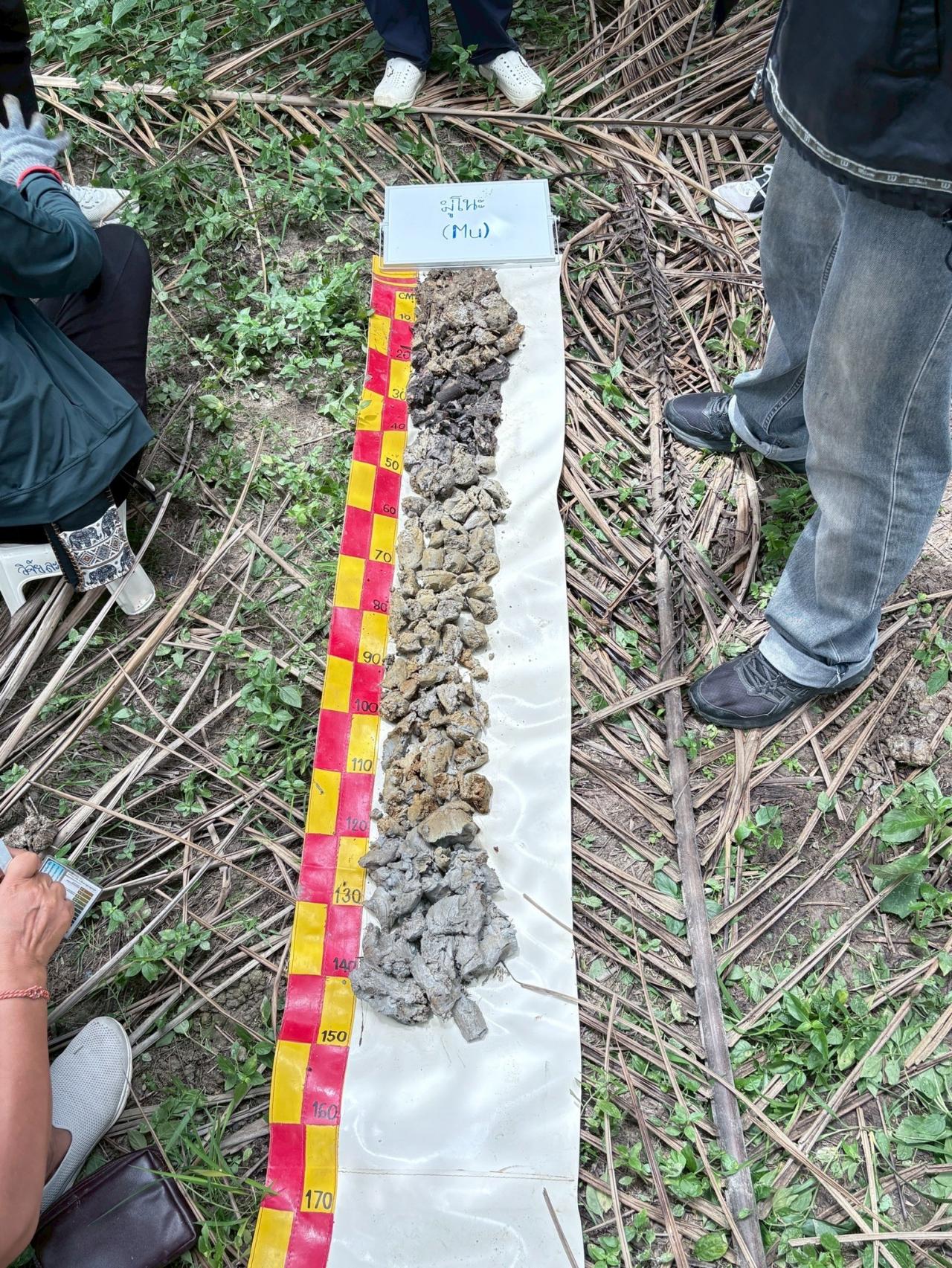 ภาพประกอบที่ 12