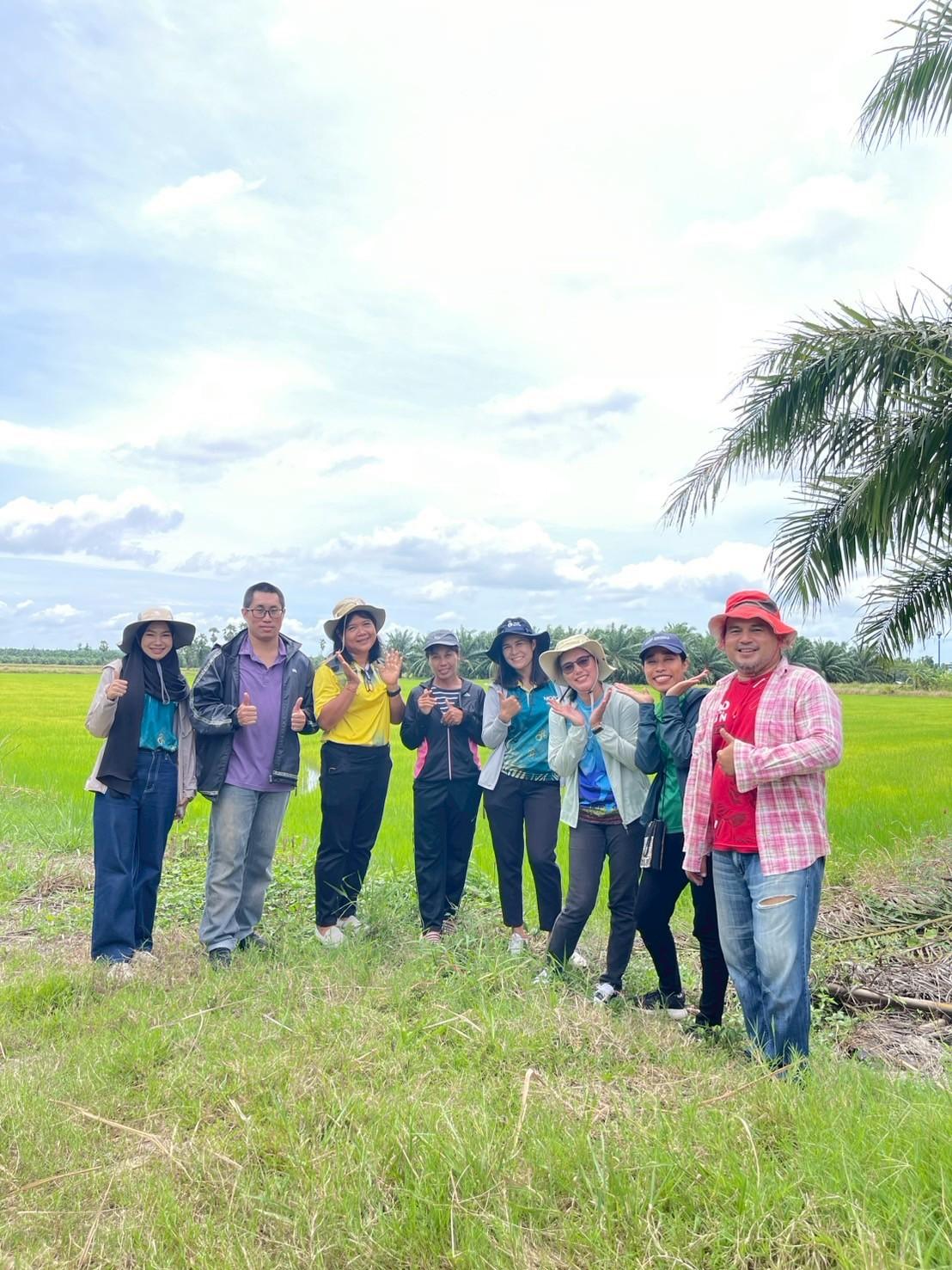 ภาพประกอบที่ 14