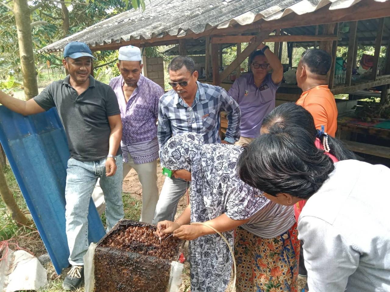 ภาพประกอบที่ 1