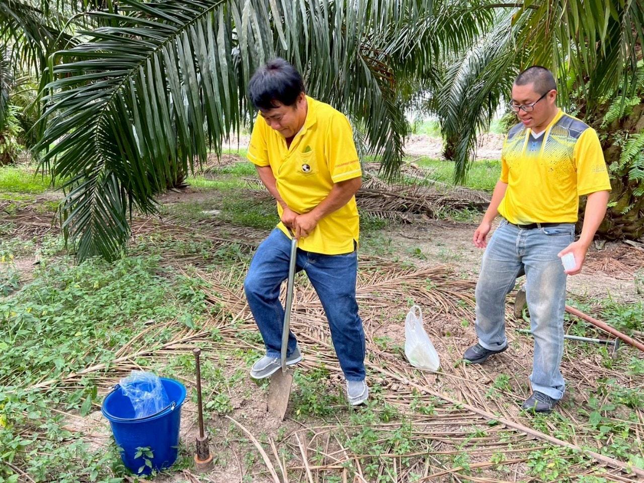 ภาพประกอบที่ 0