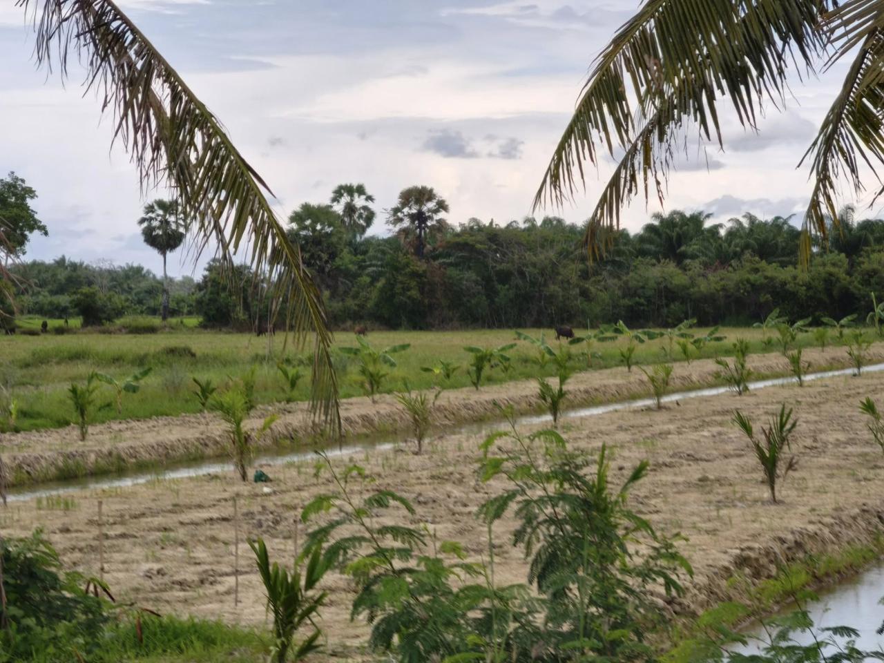 ภาพประกอบที่ 4