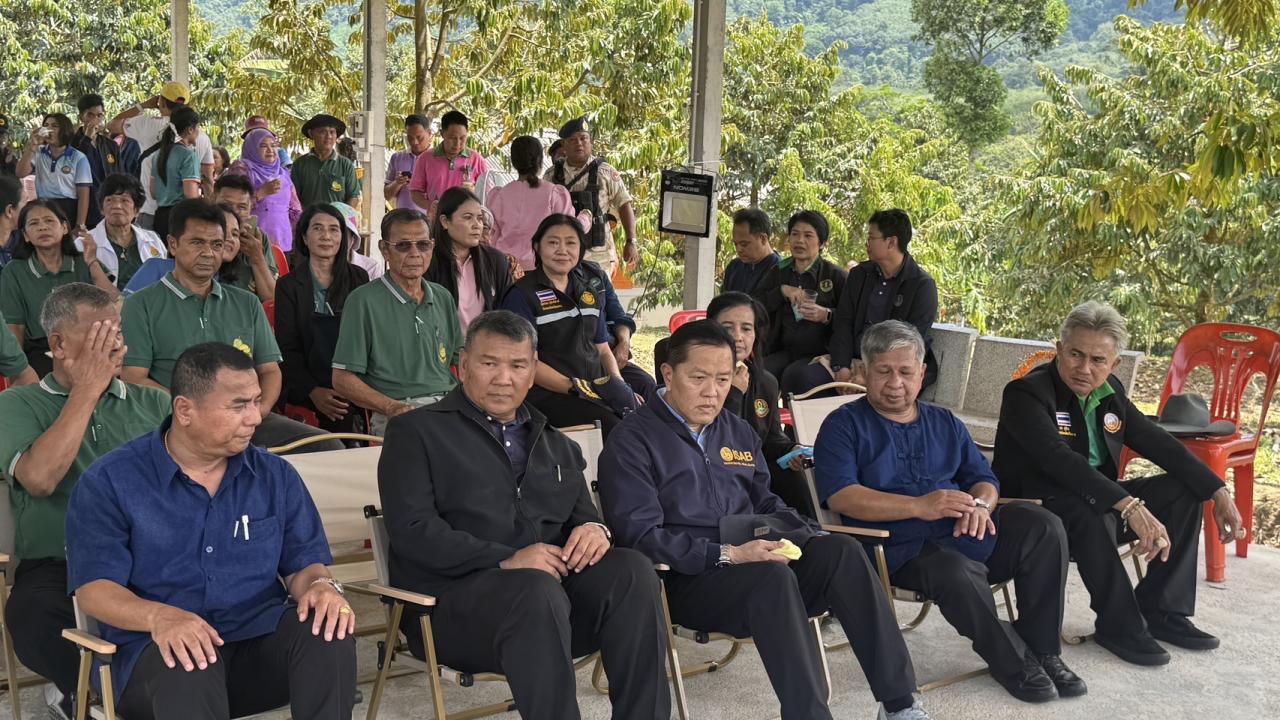 ภาพประกอบที่ 8