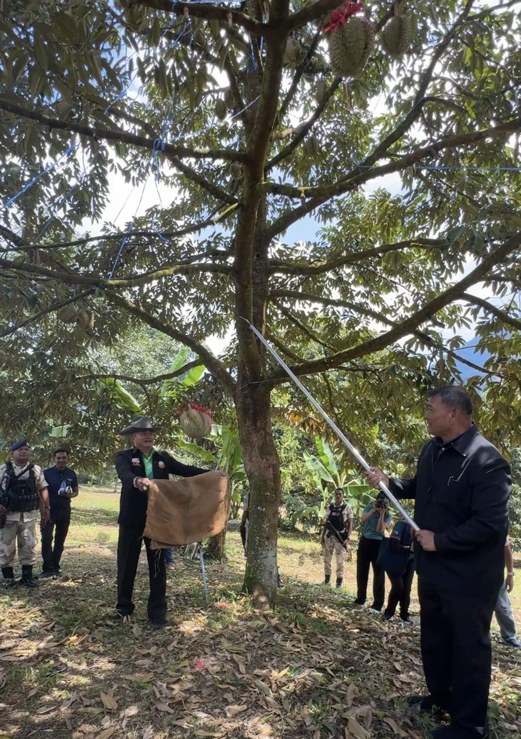 ภาพประกอบที่ 10