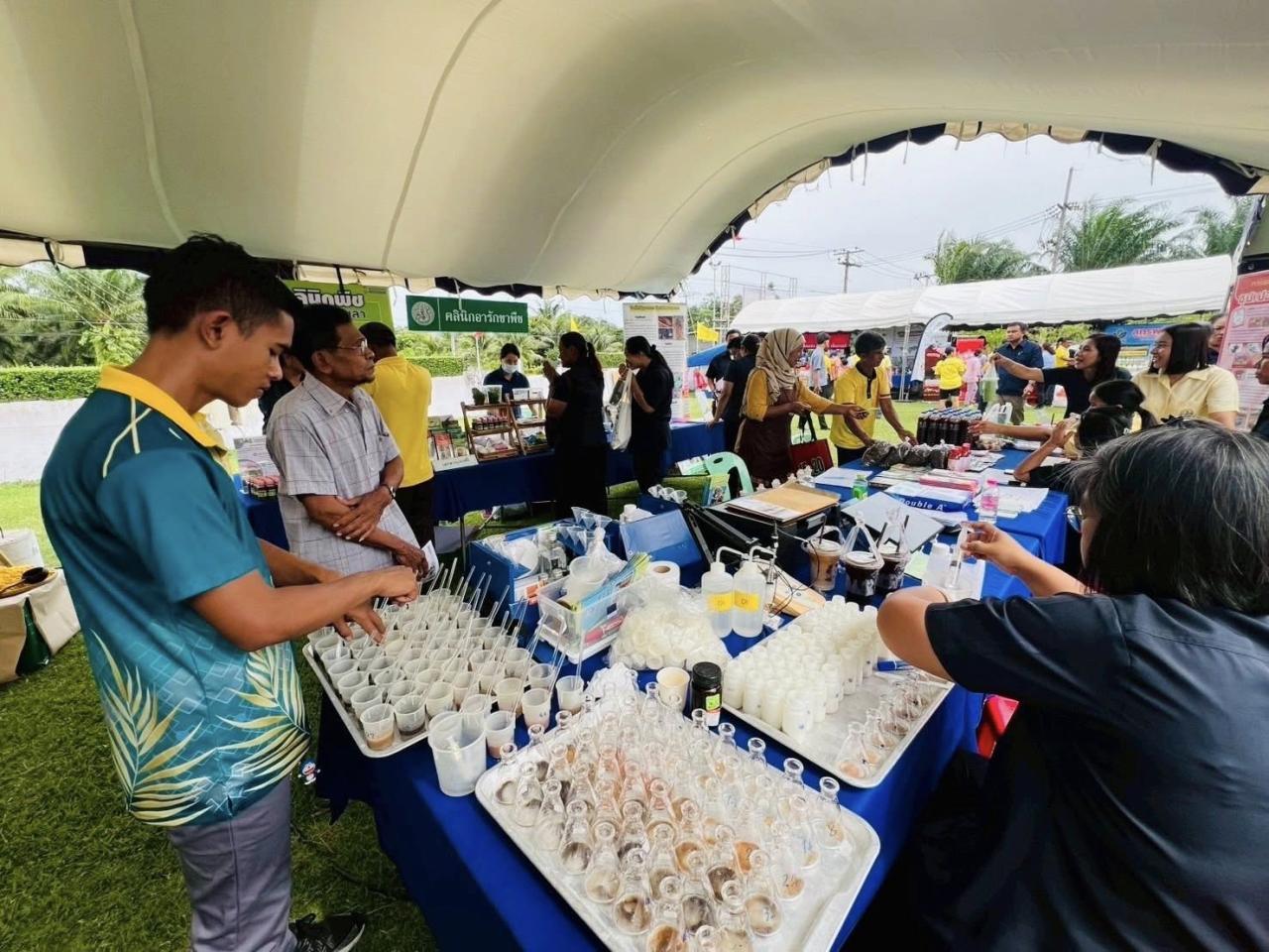 ภาพประกอบที่ 6