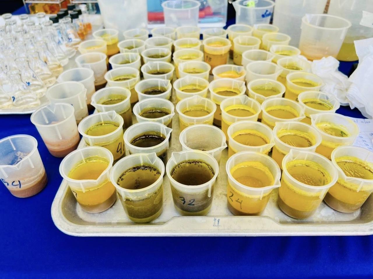 ภาพประกอบที่ 8