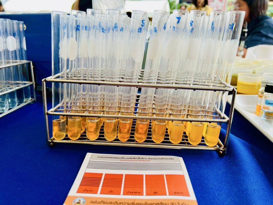 ภาพประกอบที่ 9