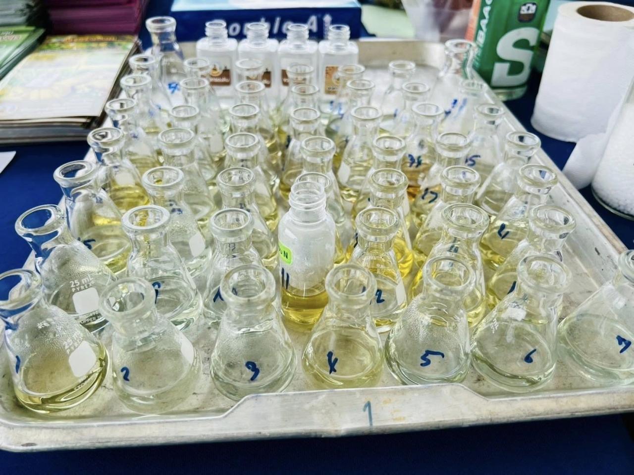 ภาพประกอบที่ 10