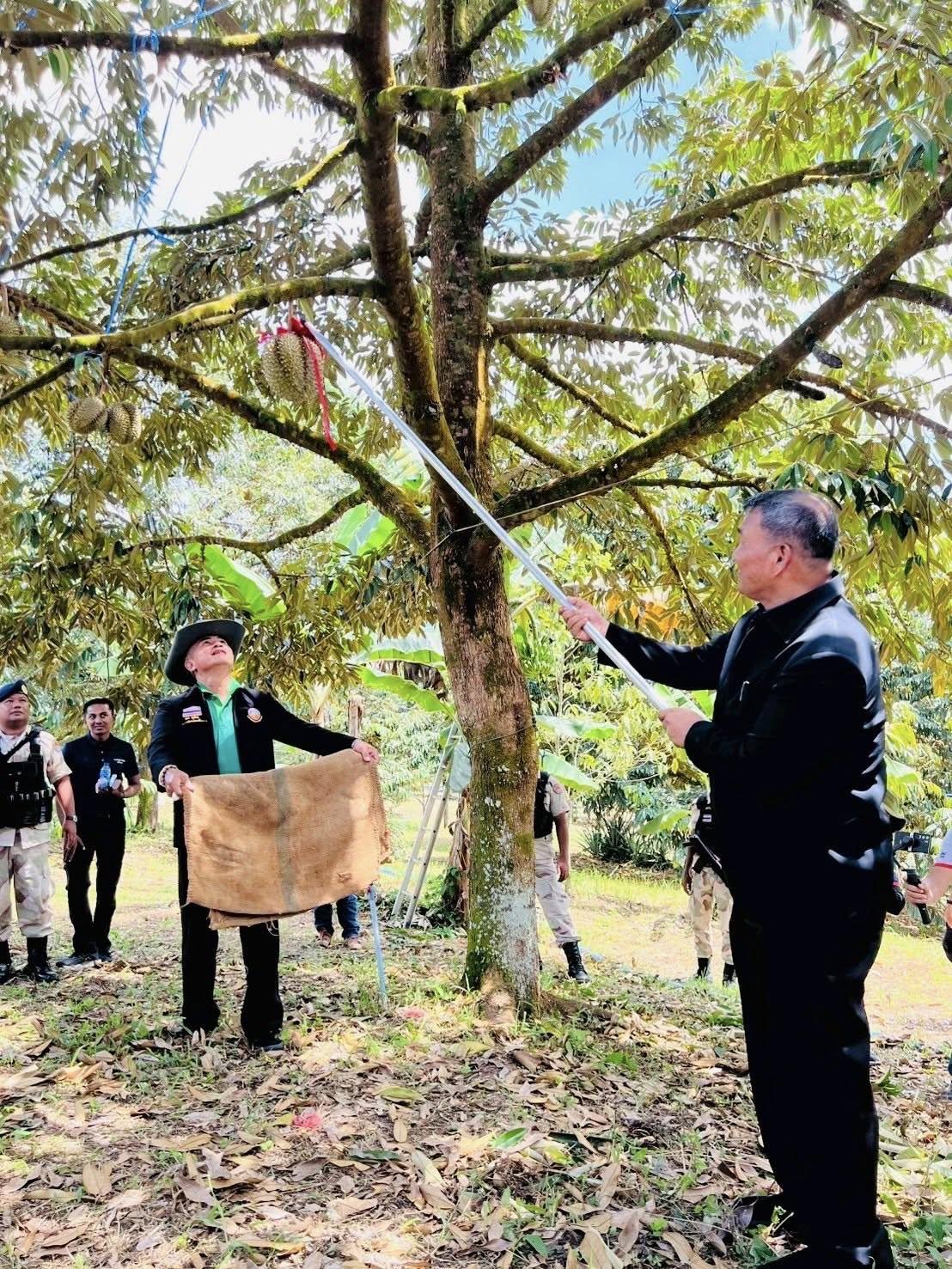 ภาพประกอบที่ 5