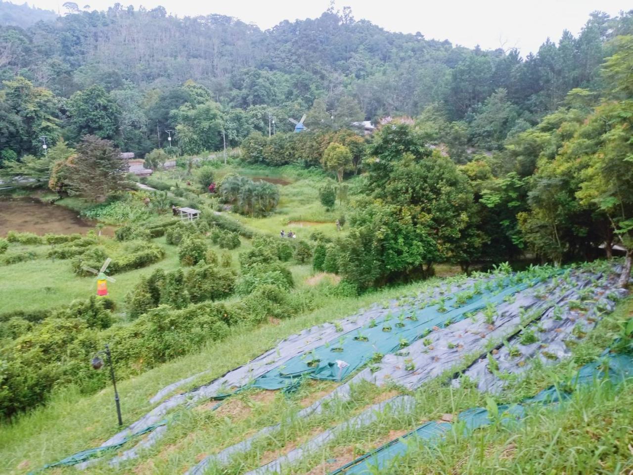 ภาพประกอบที่ 3