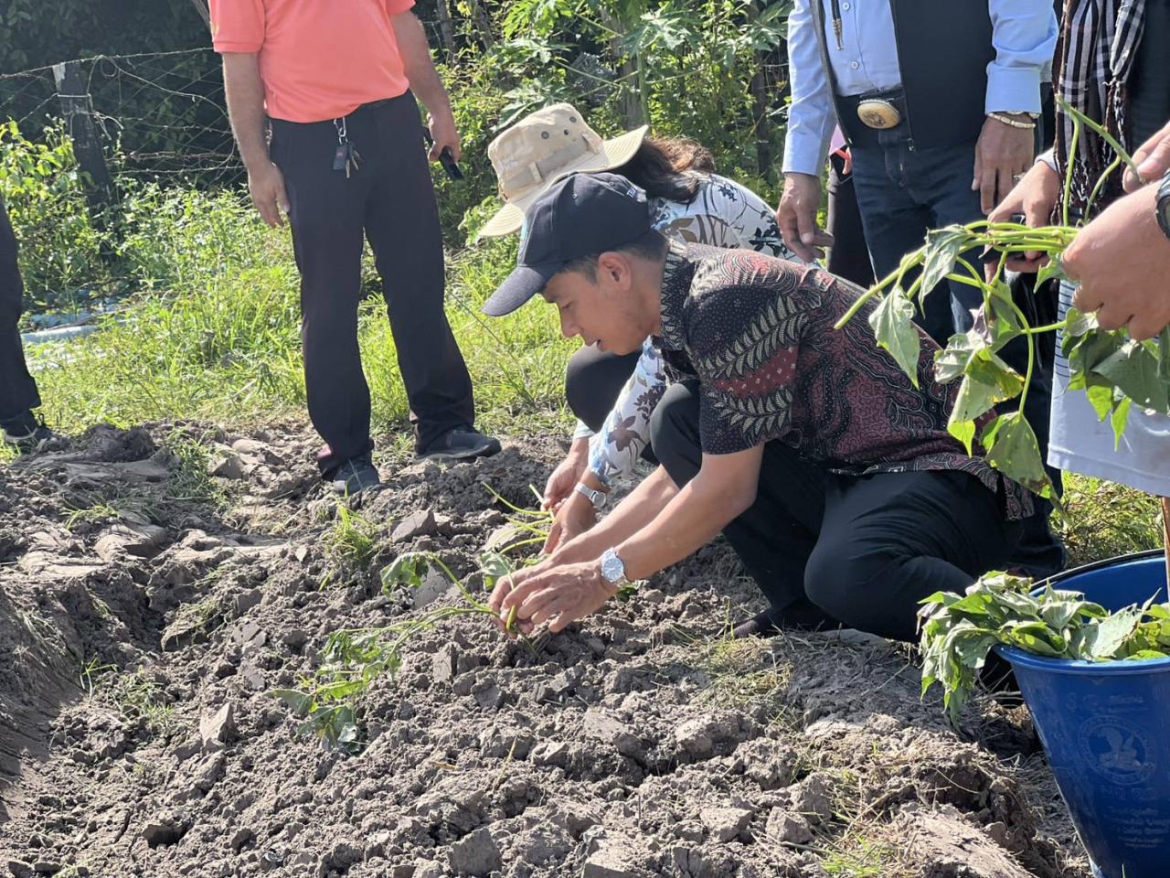 ภาพประกอบที่ 7