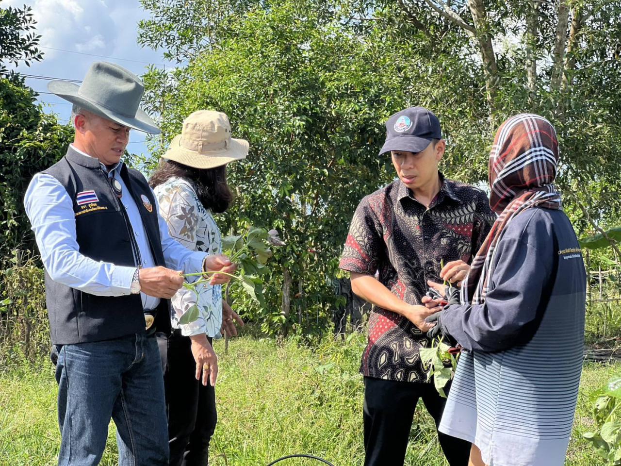 ภาพประกอบที่ 8