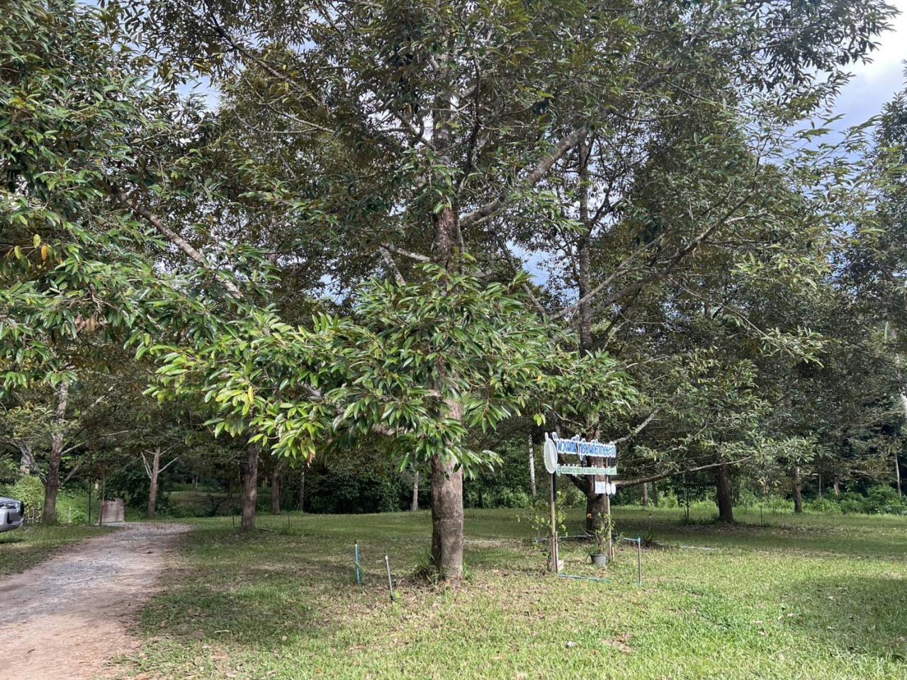 ภาพประกอบที่ 10