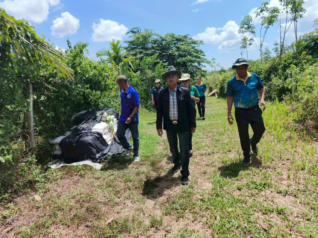 ภาพประกอบที่ 5