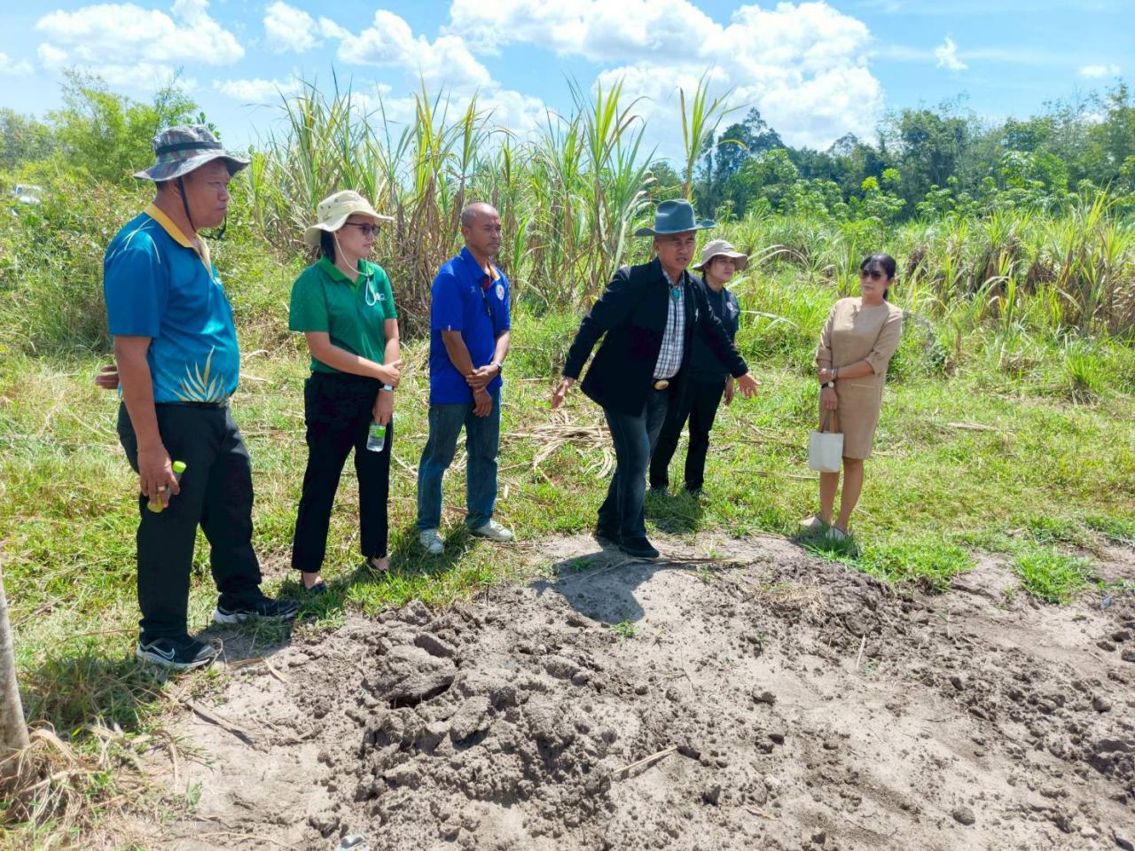 ภาพประกอบที่ 9