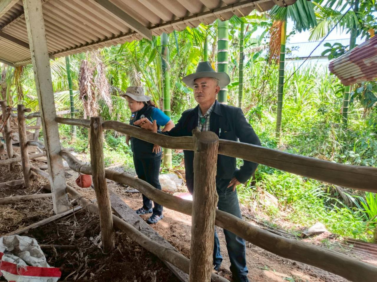 ภาพประกอบที่ 11