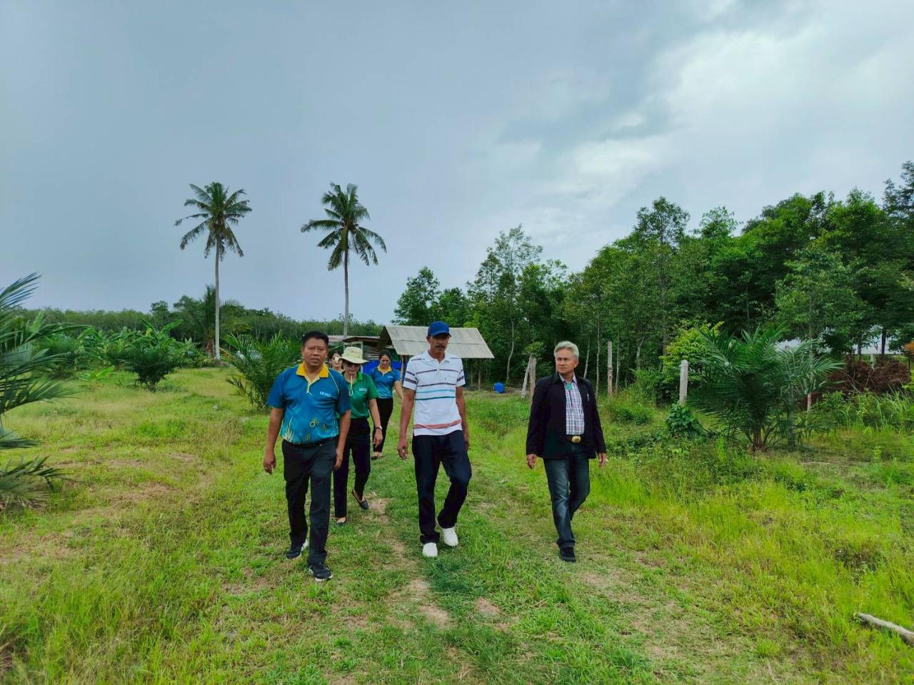 ภาพประกอบที่ 12