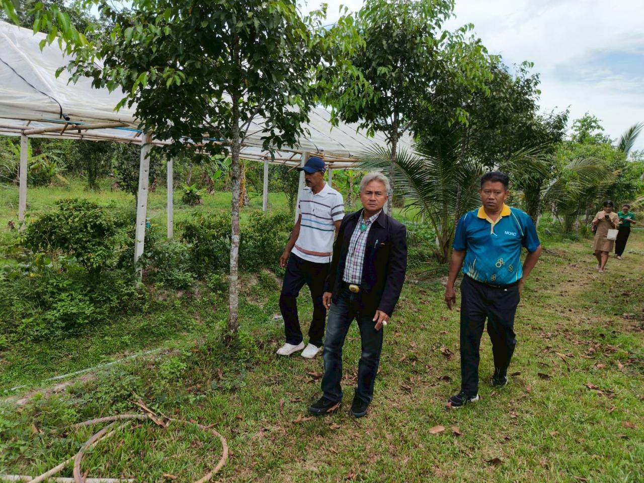 ภาพประกอบที่ 13