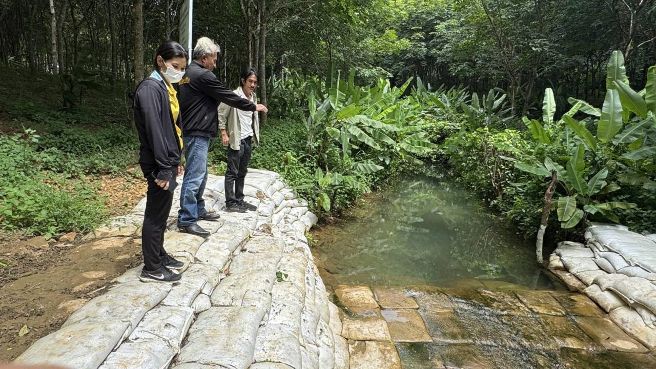 ภาพประกอบที่ 3