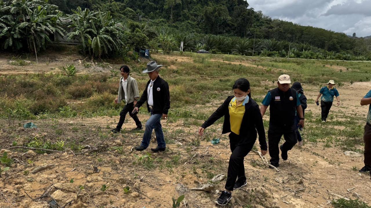 ภาพประกอบที่ 5